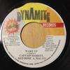 7-дюймовая пластинка CAPTAIN BARKEY, ANTHONY RED ROSE, A - Wake Up DYN0036 Dynamite Record 1996 Ямайка Регги, Ска и Даб Б/У
