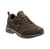 Holcombe IEP Low Trekking Boots