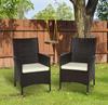 2 Pieces Outdoor PE Rattan Dining Chairs Set with Cushion, Garden Armchair with Armrests, High Backrest, Metal Frame Patio Wicker Furniture, Coffee