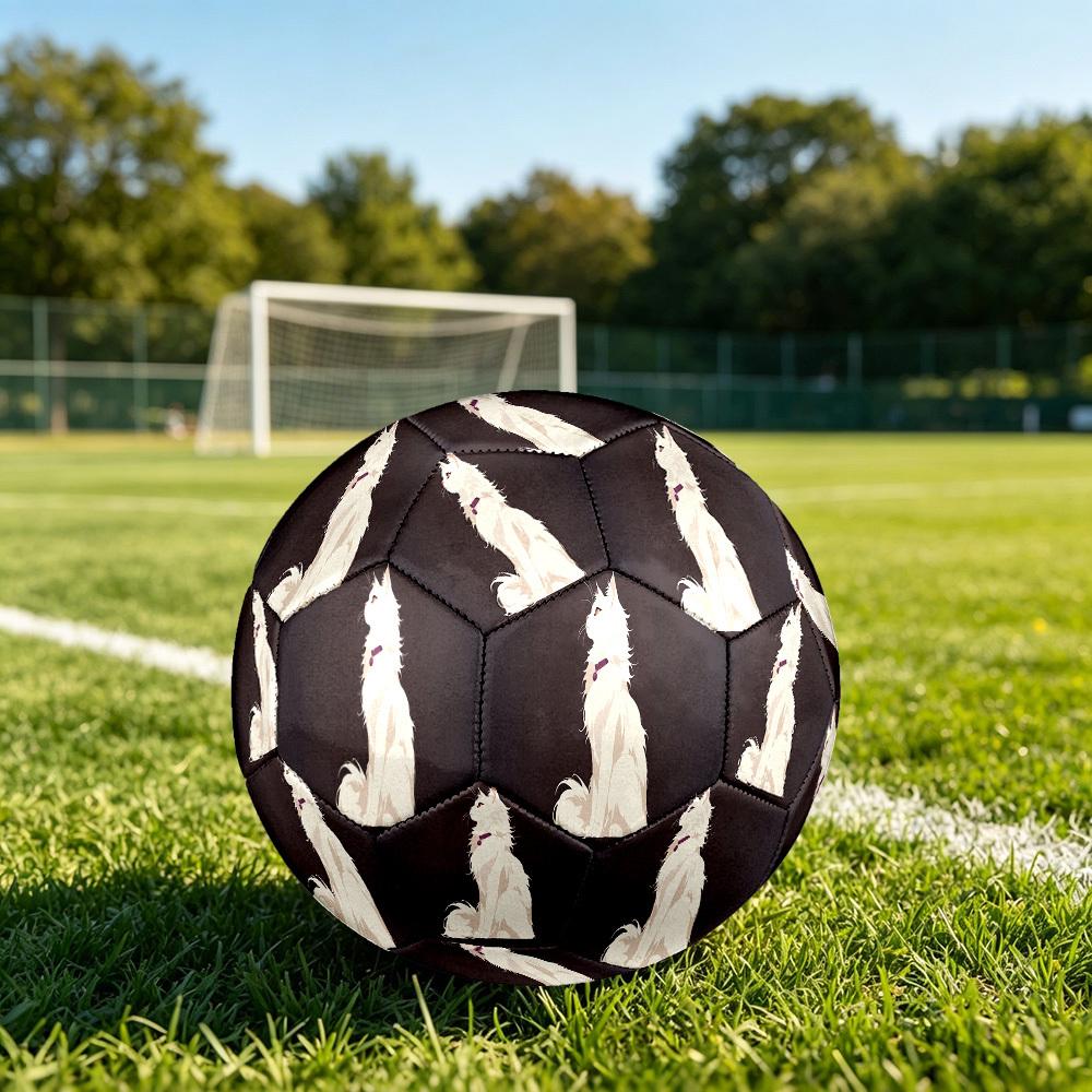 1pc White Cat Size 5 Soccer Ball Professional Match Training Football Indoor &Outdoor Sports Ball Lightweight Durable c6561