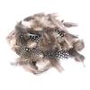 Natural Guinea Fowl Feathers 4/7 Cm 10g