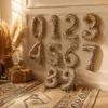 Inflatable Number Balloons 40 Inch Aluminum Foil Balloons Leopard Print Balloons  Birthday Party