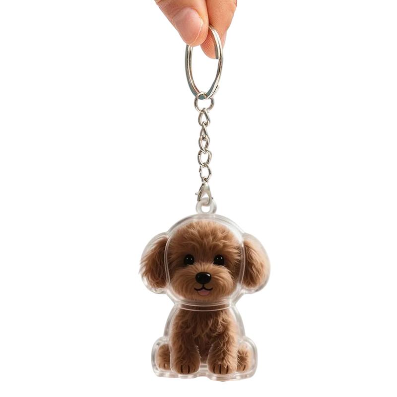 Прозрачная капсула для сбора кошачьей шерсти, брелок, кавайный памятный контейнер для шерсти домашнего питомца, кошки, собаки, подвеска-шарм для любителей домашних животных