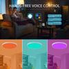 24 Вт Умный потолочный светильник Tuya Smart WiFi 220 В Цвета RGB Изменяемый умный светодиодный потолочный светильник WiFi Подключение