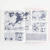 Hobonichi Techo 2025 Notebook Original ONE PIECE Japanese Page Per Day On (A6) [A6/1 (special edition)/January/starts Monday]