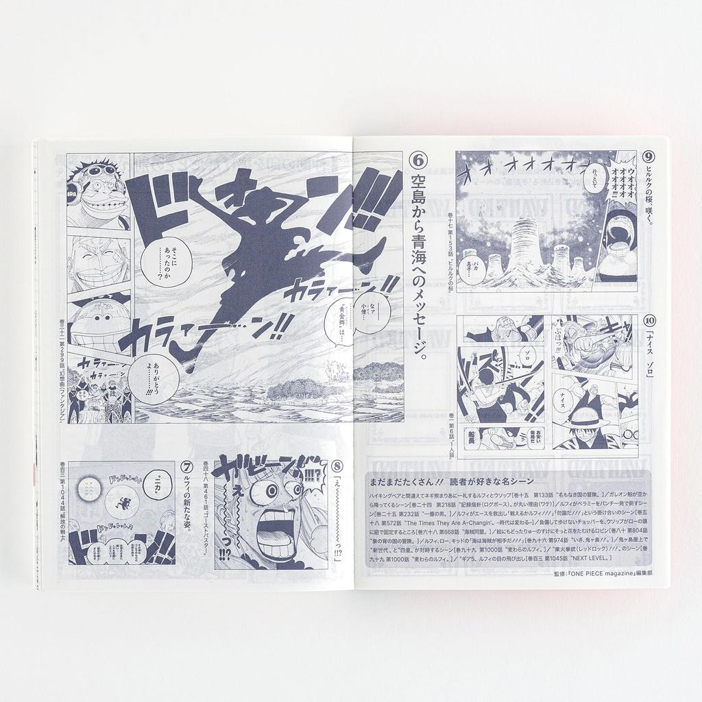 Hobonichi Techo 2025 Notebook Original ONE PIECE Japanese Page Per Day On (A6) [A6/1 (special edition)/January/starts Monday]