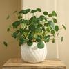 Floral Artificial Faux Plants Decorative Fake Lotus Leaves  Living Room Ornaments