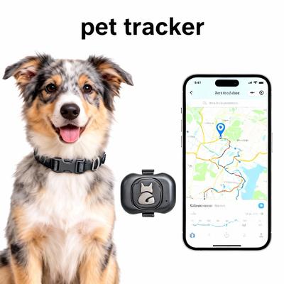 Ошейник для собак с GPS-трекером для домашних животных — водонепроницаемый GPS-трекер позиционирования и интеллектуальный трекер активности с неограниченным радиусом действия