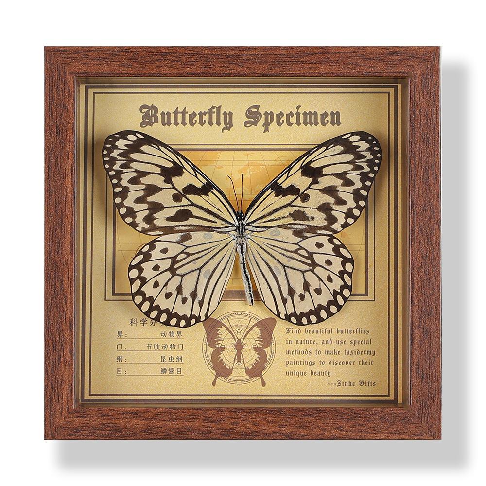Фото рамка с настоящим specimen бабочки, декоративная картина, 3D украшение, ручная работа DIY, подарок на день рождения, specimen насекомого