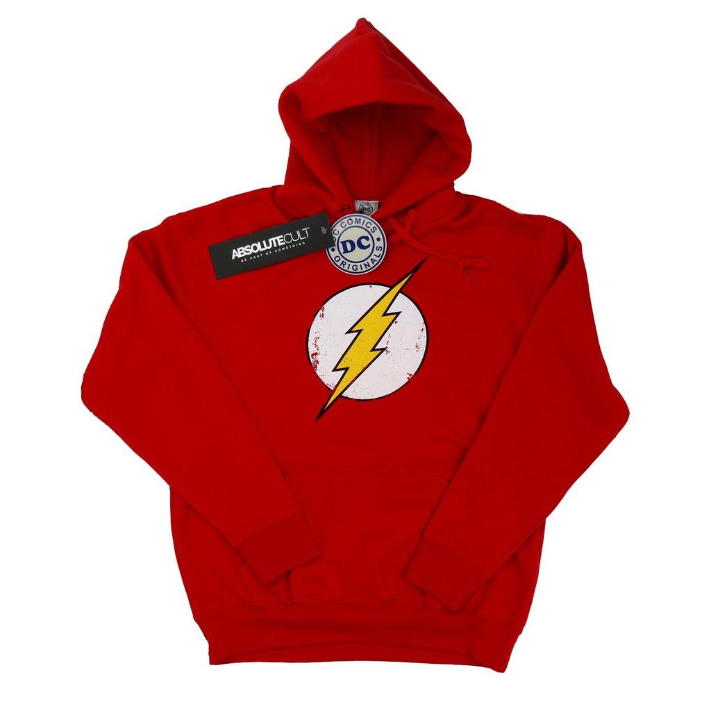 DC Comics Boys Flash Distressed Logo Hoodie