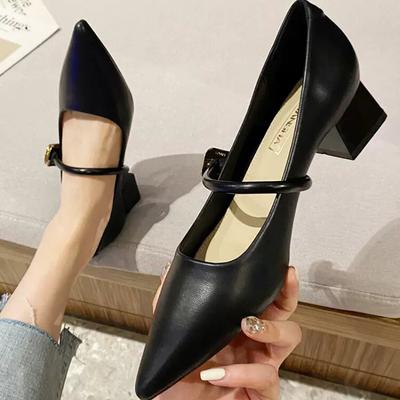 Модные женские туфли Мэри Джейн на среднем каблуке с острым носком, женские осенние туфли в стиле ретро с неглубокой подошвой, женские модные элегантные туфли-лодочки на квадратном каблуке 2024 года