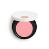 Rose Hermes Blush 6g Rose Plum 28