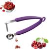 Cherry Corer Cherry Pitter Tool Stainless Steel Olive Pitter Heavy-Duty Fruit Pit Remover Multi-Purpose Kitchen Accessory