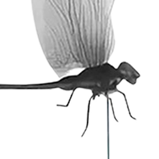 Садовые колышки Стрекоза 3D Большие колышки Стрекоза Вставка для кашпо Украшение стрекоза с палочкой для помещения улицы Оконный ящик Балкон