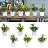 Miniascape Wedding Party Decortion with Pots Outdoor Decor Artificial Flower Fake False Plants