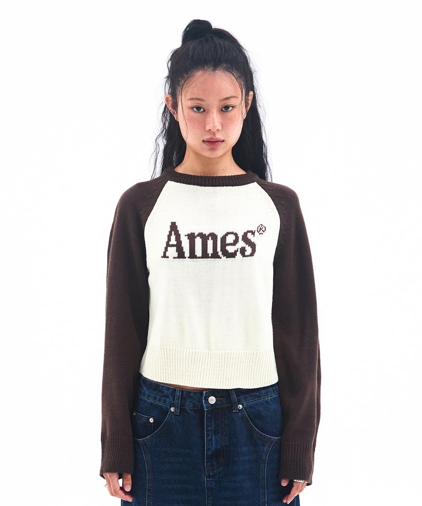AMES-WORLDWIDE Basic Raglan Pullover Knit Brown