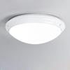 Светодиодная потолочная лампа Tiger Light HG1113 12 Вт