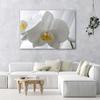 Canvas Print, White Orchids with Yellow Centre