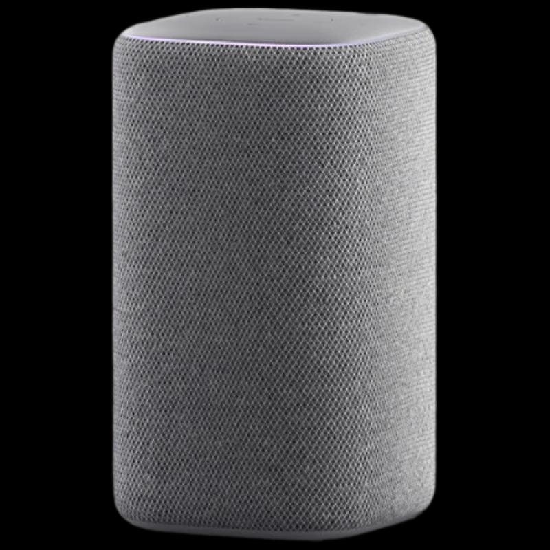Xiaomi Smart Speaker