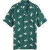 Polo Wing Print Button Shirt Short Sleeve Shirt Men Shirts Green 710942794-001