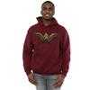 DC Comics Mens Wonder Woman Logo Hoodie