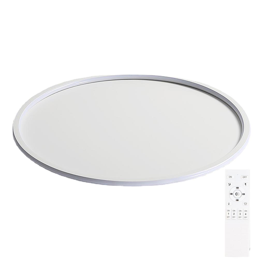 Round Flat Panel Light Minimalist Nordic Style LED Ceiling Mount Disk Light for Living Room