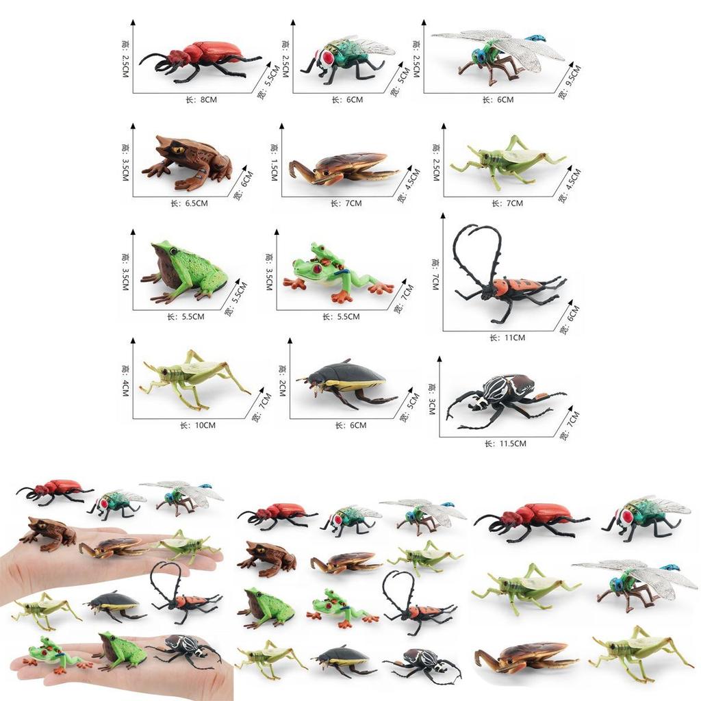 Realistic Pvc Insect Model Set Including Rhinoceros Beetle And Dragonfly For Decoration
