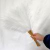 10pcs 55cm Faux Pampas Grass Artificial Pompous Grass Vase Filler Flower for Home Living Room Kitchen  Wedding  Boho Decor