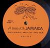 12-дюймовая пластинка A WEEKEND IN JAMAICA Reggae Megamixx Muevelo Techno P824 НЕ НА ЛЕЙБЛЕ Неизвестный Религиозный Посвященный Б/У