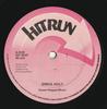 12-дюймовая пластинка ERROL "FLABBA" HOLT / PRINCE FAR I - Sweet Reggae Music / Hairdressing S HITDD25 Hitrun 197 - UK Reggae, Ska & Dub Used
