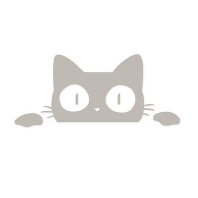 Lifepower Режущая наклейка Автонаклейка для автомобиля, мотоцикла, стены, кейса для переноски, скрытия вмятин и