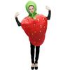 Festival Carnival Party Strawberry Cosplay Costume, Adult
