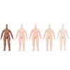 11 см Горячий 5 стилей bjd тело YMY тело для obitsu11 GSC голова ob11 1/12 BJD кукольное тело шаровое соединение кукла игрушка группа рук