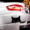 Cat Peeking Funny Sticker PET Car Styling Decoration Universal Car Cat Sticker  Car