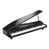Korg microPiano 61 - Key Minature Grand Piano, Black