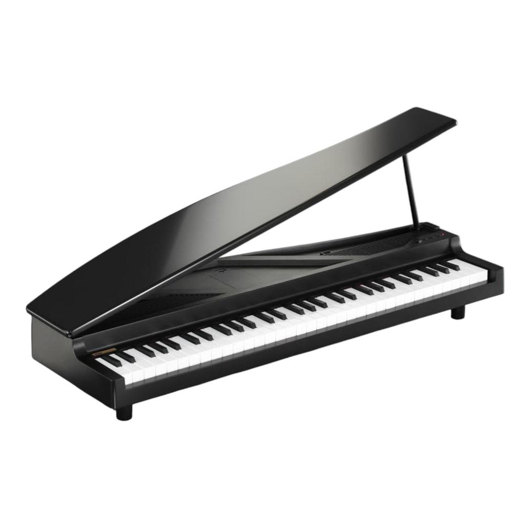 Korg microPiano 61 - Key Minature Grand Piano, Black