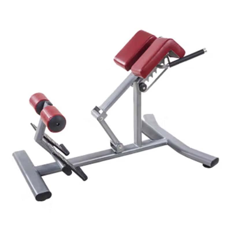 Tezewa Professional Roman Chair Fitness Bench