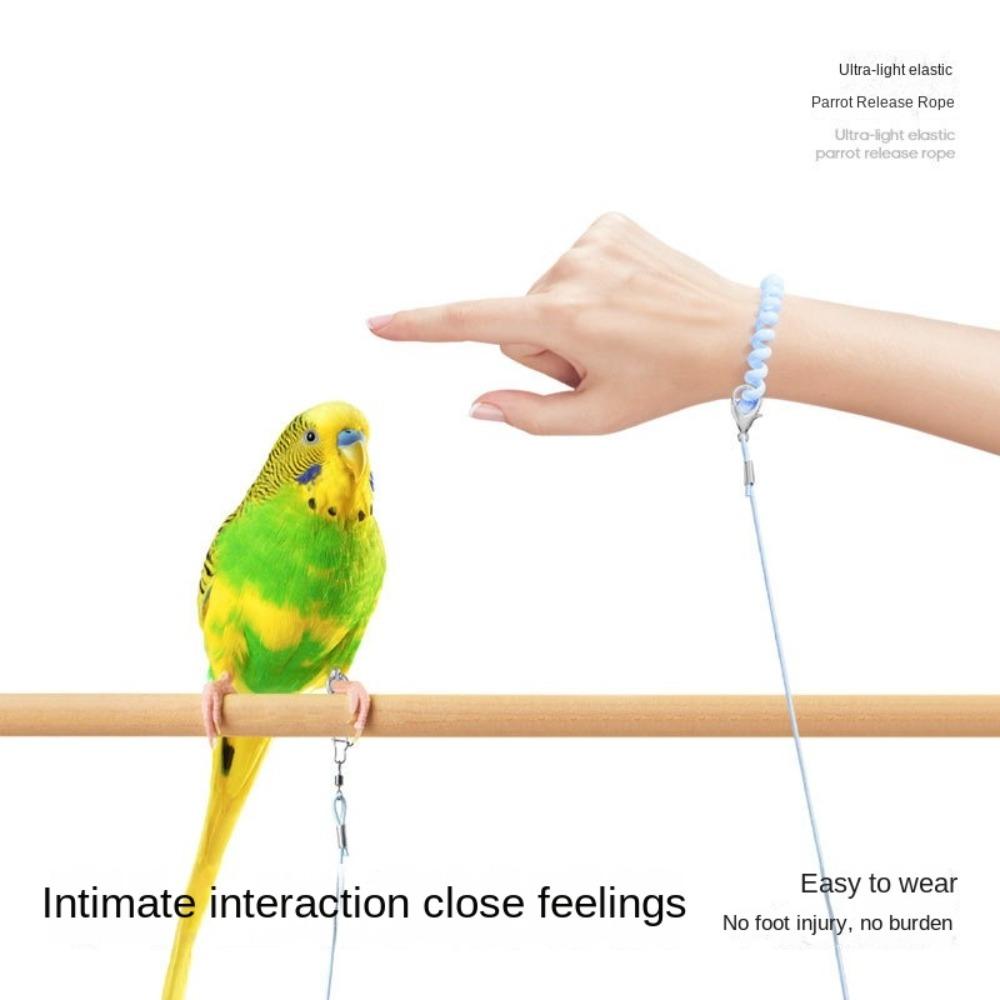 Металлическая пряжка Поводок для дрессировки попугаев Противополетная ножная цепь для птиц Поводок для выгула попугаев для птиц