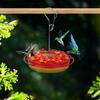 450ml Hummingbird Feeder with Perch And Feeding Ports Outdoor Hanging Wildbird