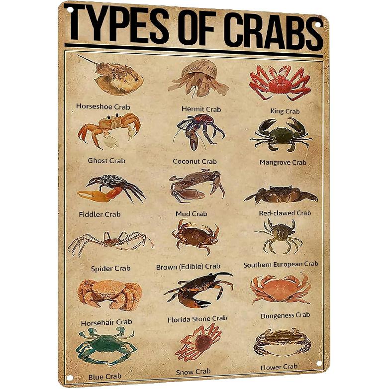 HYBLOM Vintage Types Of Crabs Metal Sign - Educational Crab Breeds Art Print for Home & Kitchen Decor, Retro Tin Wall Sign for Crab Lovers,