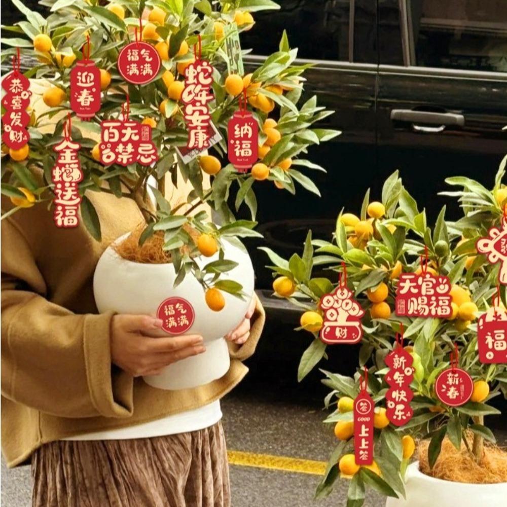 16PCS Spring Festival Blessing Card Hanging Ornament Potted Plant Decoration Snake New Year Decor