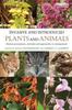 Книга Invasive and Introduced Plants and Animals : Human Perceptions, Attitudes and Approaches To Management