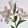 Plastic Simulated Flower Decor Real Touch Floral Arrangement Fake Flowers  Birthday Party
