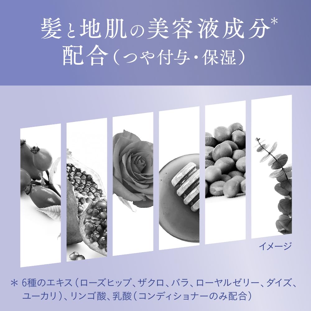 Segreta Shampoo Keeps Wavy Hair Smooth Refill - -