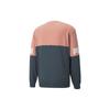 PUMA Power Colorblock Crew Sweatshirt 'Pink' Men's 670935-42