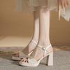 Fashion Wedding Sandals Platform Large Size Women High Heels Shoes 2025 Summer New Fashion Formal Wear Dress Up Buckle Sandals