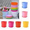 Colorful Plant Tool Desktop Decoration Mini Basin Green Plant Flower Pot Succulent Plant Flowerpot