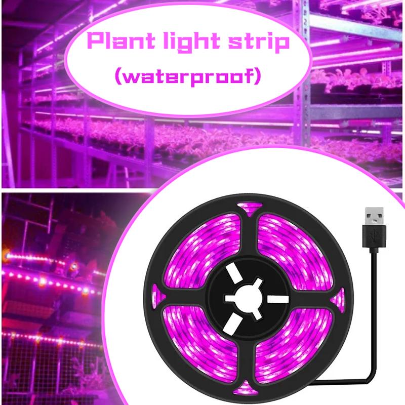 5V USB Led Full Spectrum Plant Grow Light Strip 1m/2m/3m Strip for Flower Seedling Grow Greenhouse Hydroponic Plants Lighting