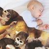 Squirrel Monkeys Throw Blanket Large Weighted Tourist Nap Blankets