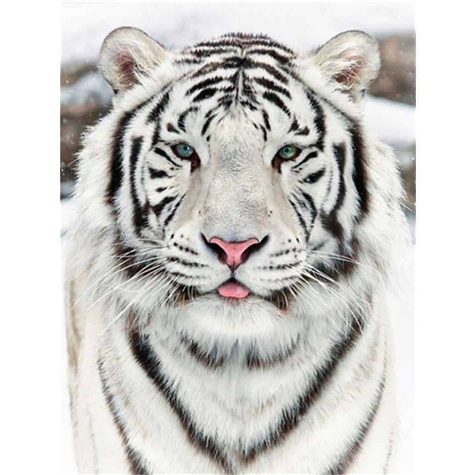 Diamond Painting "Tiger" Animal 5D DIY Full Round Diamond Embroidery Kit Rhinestone Cross Stitch Decoration Mosaic Picture Gift